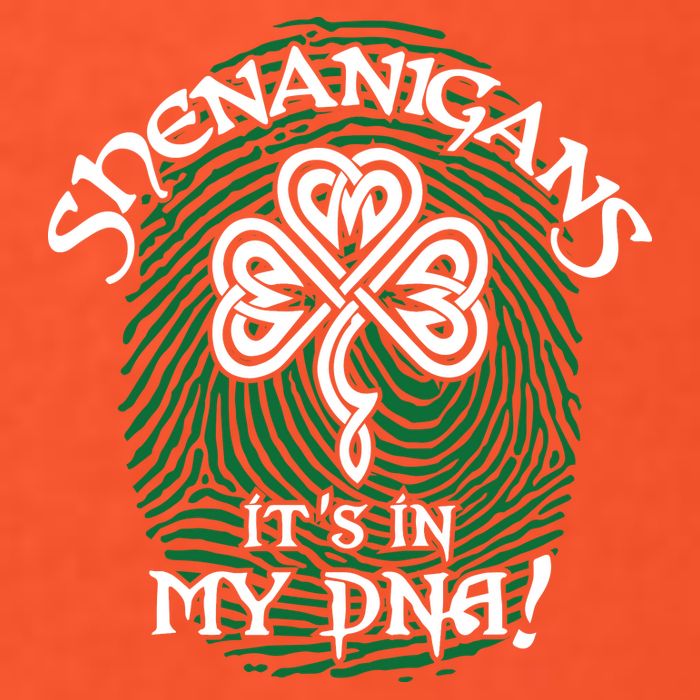 Funny St Patrick's Day Shenanigans It's In My DNA Fingerprint Premium T-Shirt