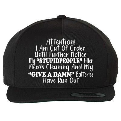 Funny Stupid People Filter Wool Snapback Cap