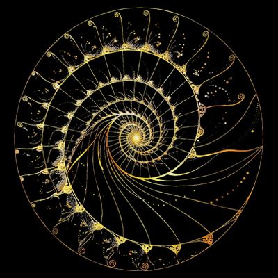 Fibonacci Spiral Ratio Mathematicians Sacred Geometry T-Shirt