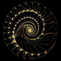 Fibonacci Spiral Ratio Mathematicians Sacred Geometry Drawstring Bag