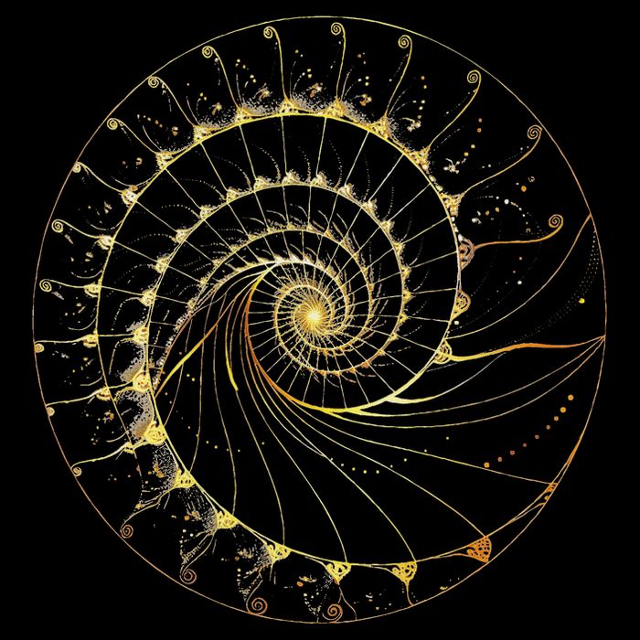 Fibonacci Spiral Ratio Mathematicians Sacred Geometry Mousepad