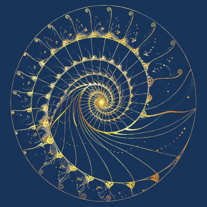 Fibonacci Spiral Ratio Mathematicians Sacred Geometry Infant Baby Jersey Bodysuit