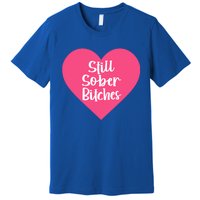 Funny Sobriety Recovery Aa Na Gift Still Sober Bitches Meaningful Gift Premium T-Shirt