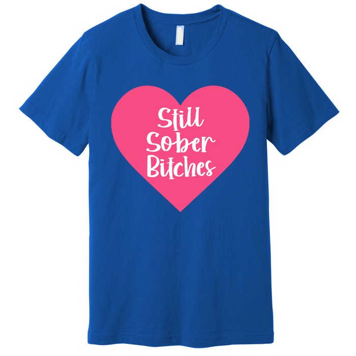 Funny Sobriety Recovery Aa Na Gift Still Sober Bitches Meaningful Gift Premium T-Shirt