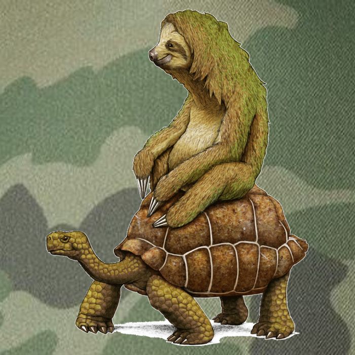 Funny Sloth Riding Turtle Speed Is Relative Legacy Tie Dye Trucker Hat