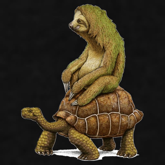 Funny Sloth Riding Turtle Speed Is Relative Ladies PosiCharge Tri-Blend Wicking Tank