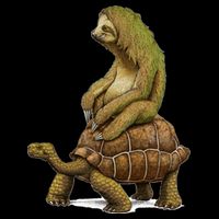 Funny Sloth Riding Turtle Speed Is Relative 16 in Basic Backpack
