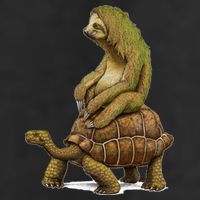Funny Sloth Riding Turtle Speed Is Relative 25L Jumbo Tote