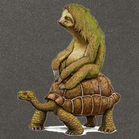 Funny Sloth Riding Turtle Speed Is Relative Cotton Canvas Backpack
