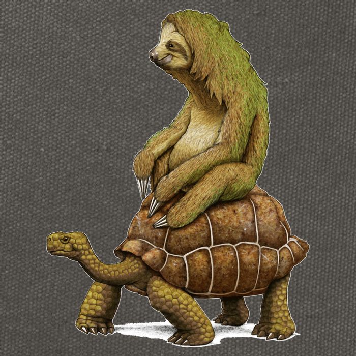 Funny Sloth Riding Turtle Speed Is Relative Cotton Canvas Backpack