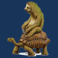 Funny Sloth Riding Turtle Speed Is Relative Infant Baby Jersey Bodysuit