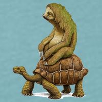 Funny Sloth Riding Turtle Speed Is Relative Sueded Cloud Jersey T-Shirt