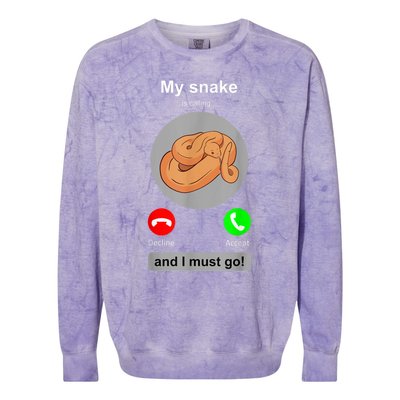 Funny Snake Snake Lover Snake Owner Collector Gift Colorblast Crewneck Sweatshirt