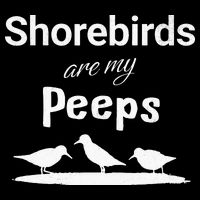 Funny Shorebird Sandpiper Peeps Birdwatching Birder Bucket Hat