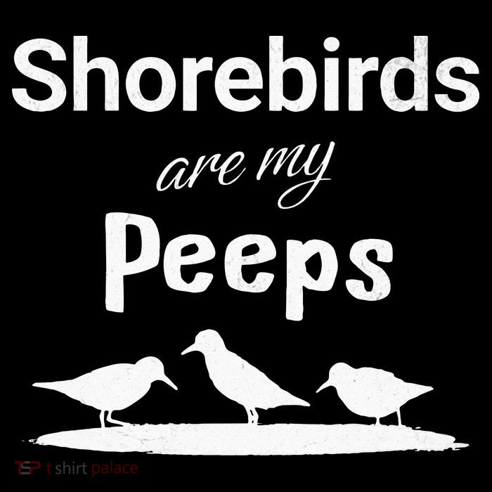 Funny Shorebird Sandpiper Peeps Birdwatching Birder Magnet