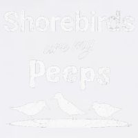 Funny Shorebird Sandpiper Peeps Birdwatching Birder Garment-Dyed Sweatshirt