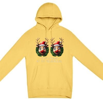 Funny Stop Staring At My Reindeers Boobs Ugly Gag Xmas Premium Pullover Hoodie