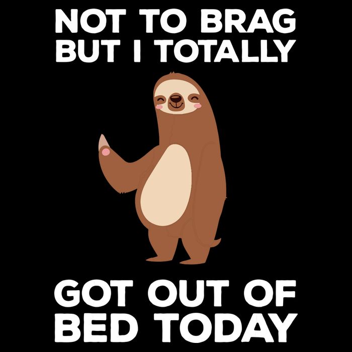 Funny Sloth Shirts Totally Got Out Of Bed Today Cropped Pullover Crew