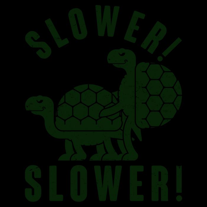 Funny Slower Slower Two Turtles 16oz Travel Tumbler