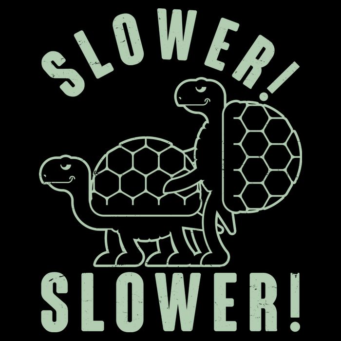 Funny Slower Slower Two Turtles Tie-Dye T-Shirt