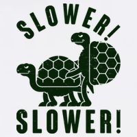 Funny Slower Slower Two Turtles Hoodie