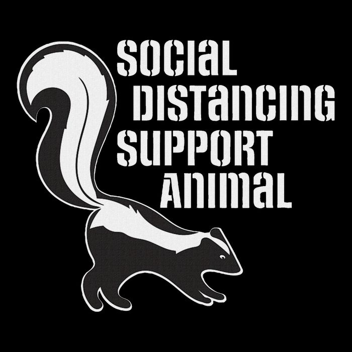 Funny Sarcastic Social Distancing Support Expert Pet Skunk 16 in Basic Backpack