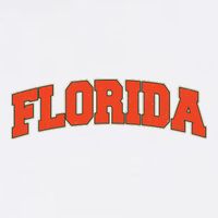 Florida State Sports Logo Button