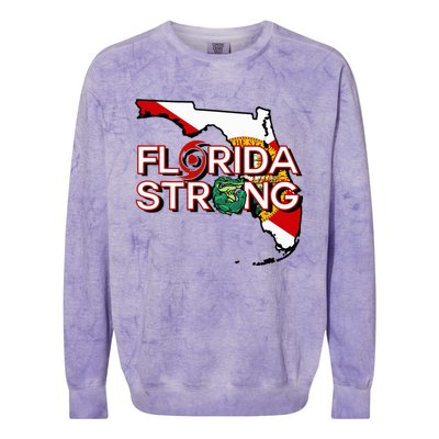 Florida Strong Support Gator Strong Florida Strong Community Colorblast Crewneck Sweatshirt