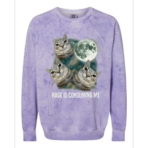 Funny Silly Staring Rage Is Consuming Me Sarcastic Cat Meme Colorblast Crewneck Sweatshirt