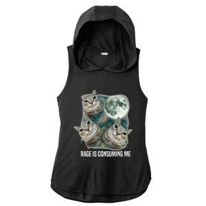 Funny Silly Staring Rage Is Consuming Me Sarcastic Cat Meme Ladies PosiCharge Tri-Blend Wicking Draft Hoodie Tank