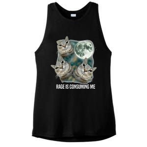 Funny Silly Staring Rage Is Consuming Me Sarcastic Cat Meme Ladies PosiCharge Tri-Blend Wicking Tank