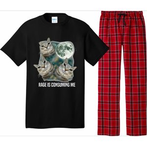 Funny Silly Staring Rage Is Consuming Me Sarcastic Cat Meme Pajama Set