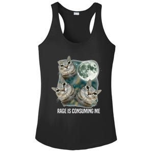 Funny Silly Staring Rage Is Consuming Me Sarcastic Cat Meme Ladies PosiCharge Competitor Racerback Tank