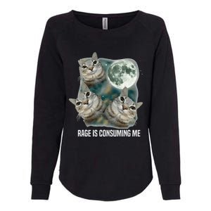 Funny Silly Staring Rage Is Consuming Me Sarcastic Cat Meme Womens California Wash Sweatshirt