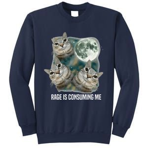 Funny Silly Staring Rage Is Consuming Me Sarcastic Cat Meme Sweatshirt