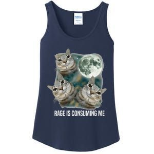 Funny Silly Staring Rage Is Consuming Me Sarcastic Cat Meme Ladies Essential Tank