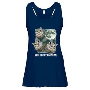 Funny Silly Staring Rage Is Consuming Me Sarcastic Cat Meme Ladies Essential Flowy Tank