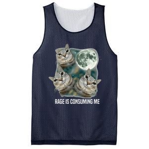 Funny Silly Staring Rage Is Consuming Me Sarcastic Cat Meme Mesh Reversible Basketball Jersey Tank