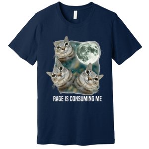 Funny Silly Staring Rage Is Consuming Me Sarcastic Cat Meme Premium T-Shirt