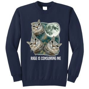 Funny Silly Staring Rage Is Consuming Me Sarcastic Cat Meme Tall Sweatshirt