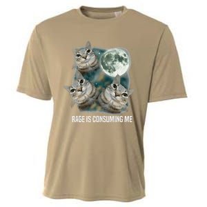 Funny Silly Staring Rage Is Consuming Me Sarcastic Cat Meme Cooling Performance Crew T-Shirt