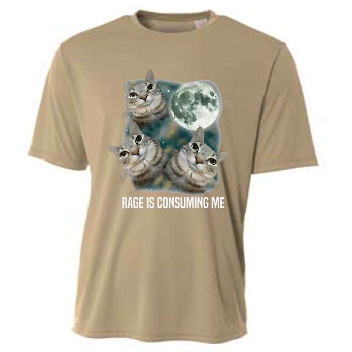 Funny Silly Staring Rage Is Consuming Me Sarcastic Cat Meme Cooling Performance Crew T-Shirt