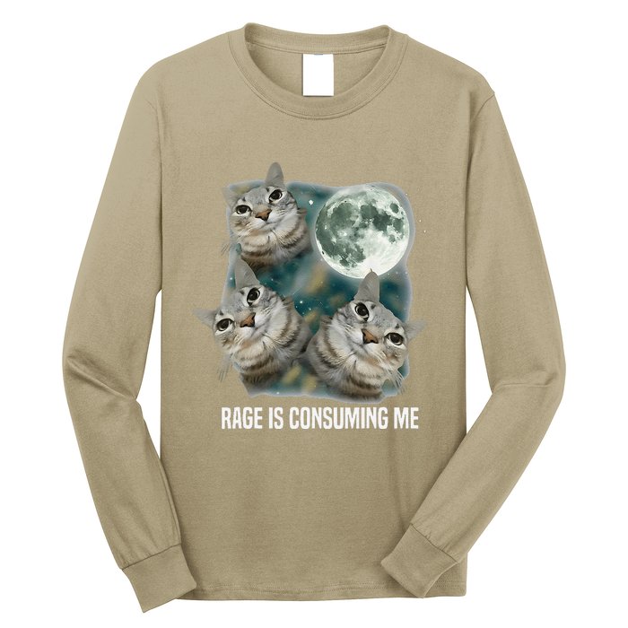 Funny Silly Staring Rage Is Consuming Me Sarcastic Cat Meme Long Sleeve Shirt