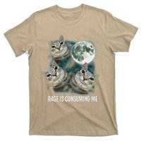 Funny Silly Staring Rage Is Consuming Me Sarcastic Cat Meme T-Shirt