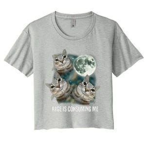 Funny Silly Staring Rage Is Consuming Me Sarcastic Cat Meme Women's Crop Top Tee