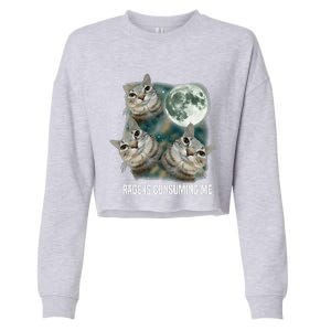 Funny Silly Staring Rage Is Consuming Me Sarcastic Cat Meme Cropped Pullover Crew