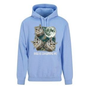 Funny Silly Staring Rage Is Consuming Me Sarcastic Cat Meme Unisex Surf Hoodie