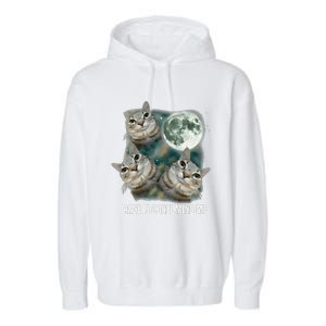 Funny Silly Staring Rage Is Consuming Me Sarcastic Cat Meme Garment-Dyed Fleece Hoodie