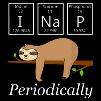 Funny Science Sloth Shirts I Nap Periodically Sloths Lovers City Backpack