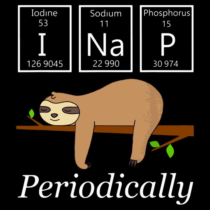 Funny Science Sloth Shirts I Nap Periodically Sloths Lovers City Backpack